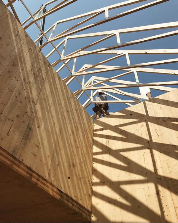 Building Project 2018 — framing the roof