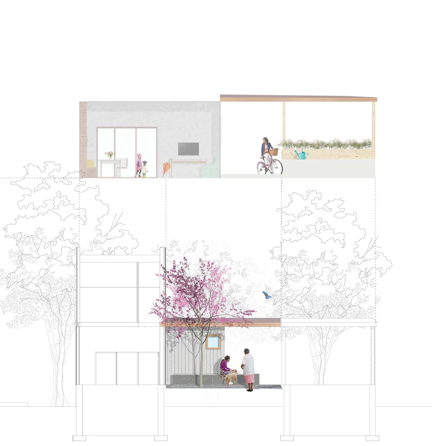Courtyard House — seasonal section, spring